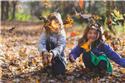 Veranstaltungsbild Spielend durch den Wald